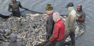 المزرعة السمكية خلال صيد الأسماك