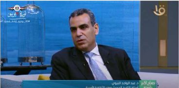 الدكتور عبدالواحد النبوي وزير الثقافة الأسبق وأستاذ التاريخ الحديث