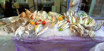 أسماك سوق أبو قير في الإسكندرية