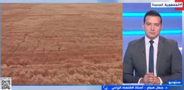 الزراعة وأهميتها للاقتصاد المصري