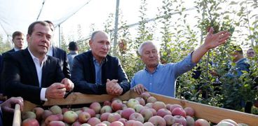 بوتين يحضر هدية "لذيذة" للسيسي ويطلب من السعودية والإمارات تذوقها