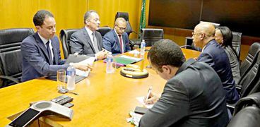 سفير مصر لدى جنوب أفريقيا يلتقي بالمدير التنفيذي لوكالة الاتحاد الأفريقي للتنمية نيباد