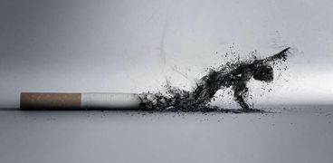 تأثير التدخين على البيئة - تعبيرية