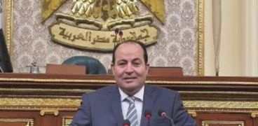 المهندس عبد الباسط الشرقاوي، عضو لجنة الإسكان بمجلس النواب