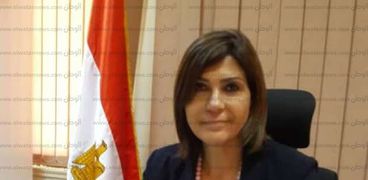الدكتورة سوزان القلينى، عضو المجلس القومى للمرأة مقرر لجنة الإعلام بالمجلس