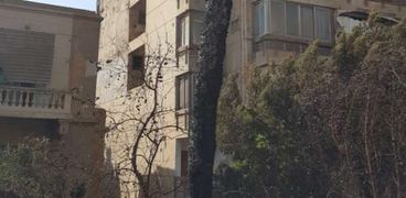 حريق عقار شارع دمشق