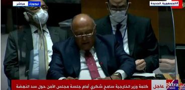 كلمة عنيفة من وزير الخارجية أمام مجلس الأمن حول السد الإثيوبي