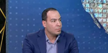 الخبير الاقتصادي أحمد صادق