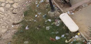 القمامة في الشيخ زايد