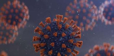 فيروسات - صورة أرشيفية