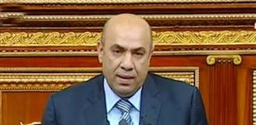 النائب علاء عبدالنبي ، عضو مجلس النواب