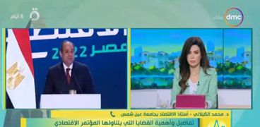 الدكتور محمد الكيلاني أستاذ الاقتصاد بجامعة عين شمس
