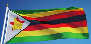شرطة زيمبابوي تطلق الغاز المسيل للدموع لتفريق احتجاجات مناهضة للحكومة