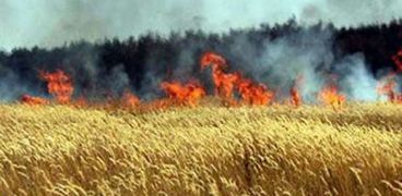 صورة أرشيفية-حريق بمحصول القمح