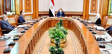 الرئيس عبدالفتاح  السيسي يتابع مشروع تصنيع مشتقات البلازما في مصر