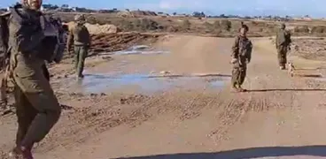 الكلاب الضالة تهاجم جنود الاحتلال الإسرائيلي