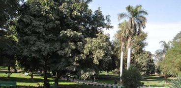 حدائق شم النسيم
