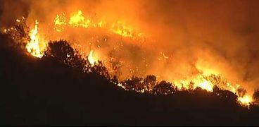 حرائق الغابات تخلف دماراً واسعاً في الجزائر