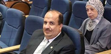 النائب محمد على عبد الحميد، وكيل اللجنة الاقتصادية بمجلس النواب