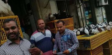 حملة للتصدي لانتشار مرض أنفلونزا الطيور بحي وسط بالإسكندرية
