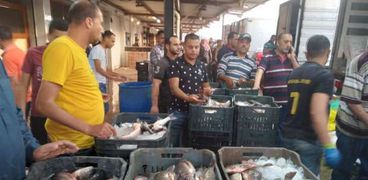 سوق الجملة لبيع الأسماك في دمياط