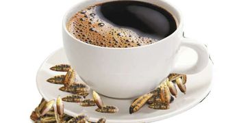 فنجان قهوة من نوى البلح.. صحة ومزاج