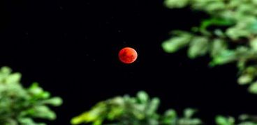 القمر الدموي