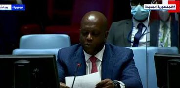 مندوب كينيا في مجلس الأمن