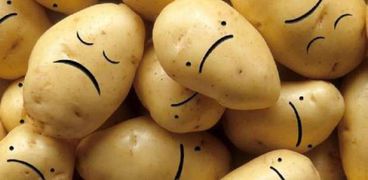 علماء: أغلبية البطاطا في العالم تعاني من "الاكتئاب الشديد"