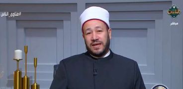 الدكتور محمد عبد السميع- أمين الفتوى بدار الافتاء المصرية