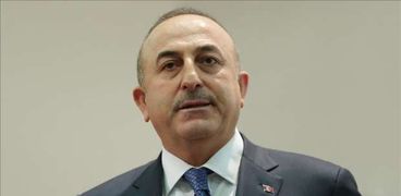 وزير الخارجية التركي