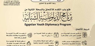 برنامج الدبلوماسية الشبابية