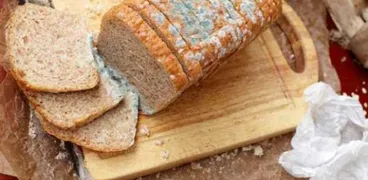 حماية الخبز من التعفن
