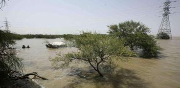سقوط كميات كبيرة من مياه الأمطار على السودان رفع منسوب النيل «أ. ف. ب»