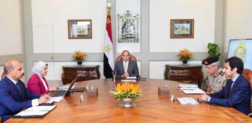 الرئيس السيسي خلال اجتماعه بوزيرة الصح
