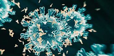 سلالة جديدة من فيروس كورونا