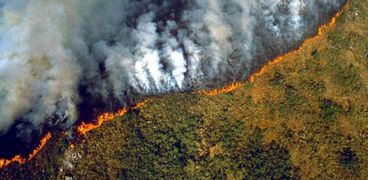 غابات الامازون تحترق منذ 3 أسابيع