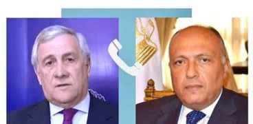 وزير الخارجية المصري ونظيره الإيطالي