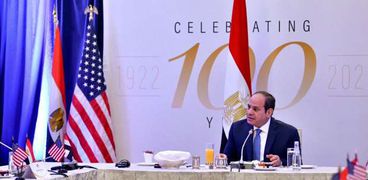 الرئيس عبد الفتاح السيسي خلال لقائه مع أعضاء تجمع أصدقاء مصر بالكونجرس