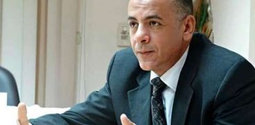 الدكتور مصطفى وزيري الأمين العام للمجلس الأعلي للآثار