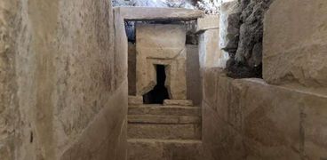 باحثون يعثروا على أقدم  قالب جبن في العالم بمقبرة في سقارة