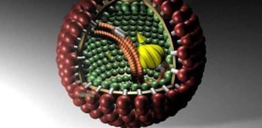 اكتشاف فيروسات "جديدة" تهدد حياة الإنسان!