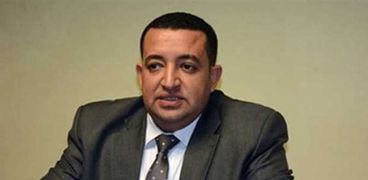 تامر عبدالقادر عضو مجلس النواب