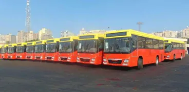محافظ الاسكندرية : تدعيم اسطول هيئة نقل الركاب ب٢٠ سيارة ميني باص سعة ٣٧ راكب
