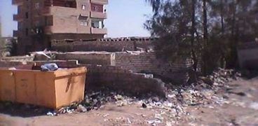 بالصور| حملة نظافة لرفع المخلفات والقمامة من شوارع طامية في الفيوم