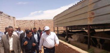 الزملوط يتفقد مشروع زراعي وإنتاج حيواني علي مساحة 200 فدان