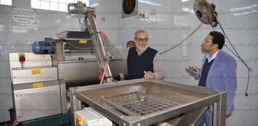 المهندس محمد الخولى يشرح لـ«الوطن» مراحل صناعة زيت الزيتون