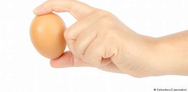 دراسة: تناول البيض يومياً يقلل من مخاطر أمراض القلب