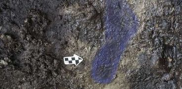 اكتشاف أثار أقدام في كولومبيا يصل عمرها إلى 13 ألف سنة