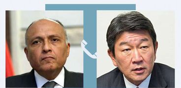 وزير الخارجية يبحث مع نظيره الياباني العلاقات الثنائية والملفات الإقليمية والدولية